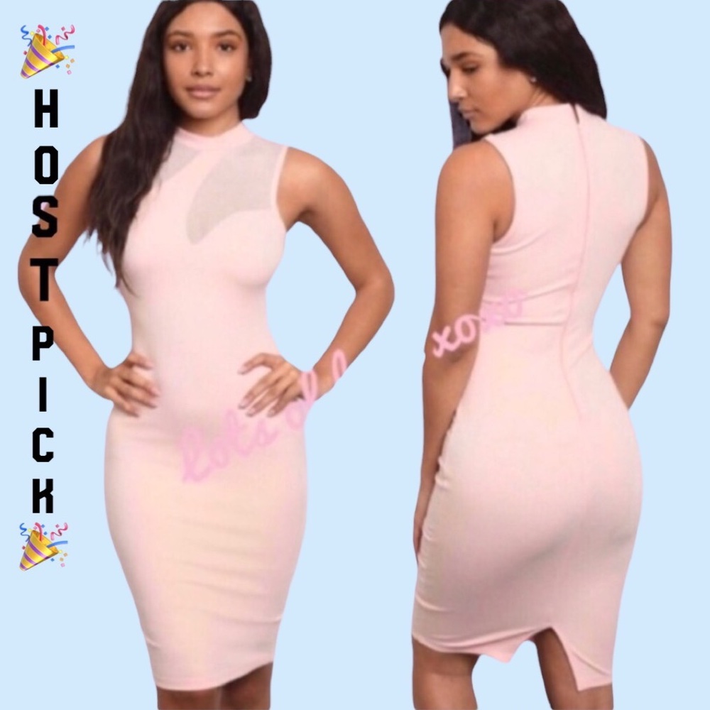 ❌DONATED❌Blush Pink High Neckline Mesh Cutout Midi Dress - Picture 1 of 9